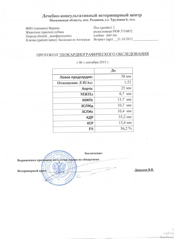 Фото: ньюфаундленд Эволюция из Антаграда