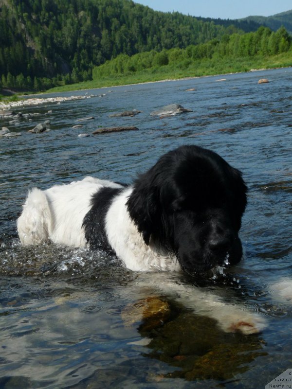 Фотография № 201512