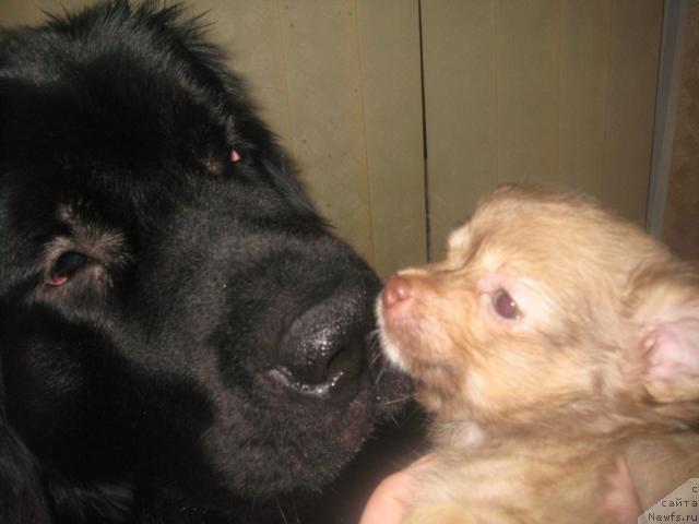 Фотография № 20152