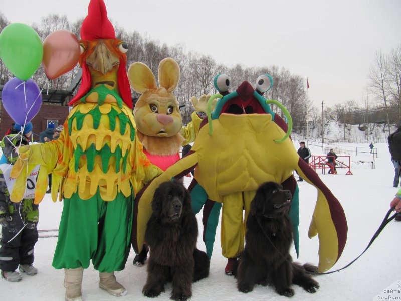 Фотография № 201523