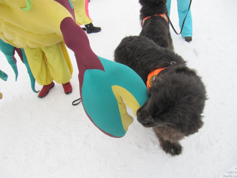 Фотография № 201525