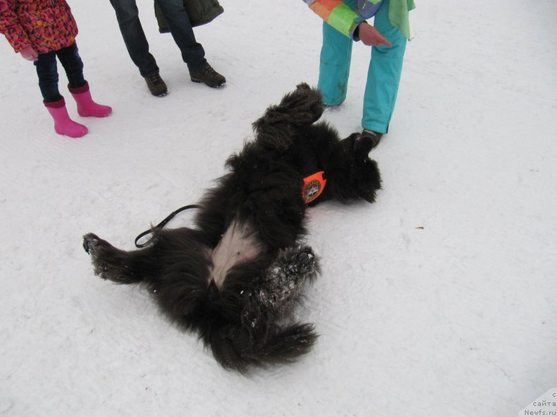 Фотография № 201526