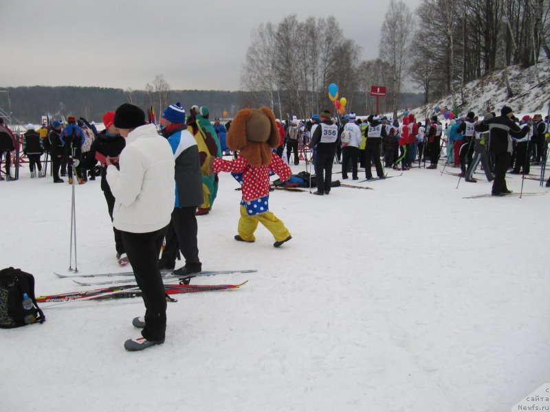 Фотография № 201528