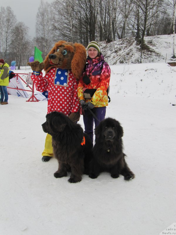 Фотография № 201529