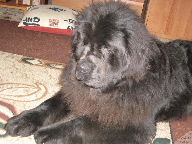 Фотография № 20158