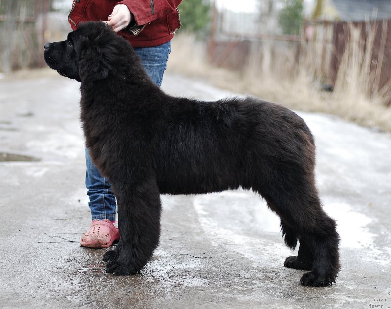 Фотография № 201592