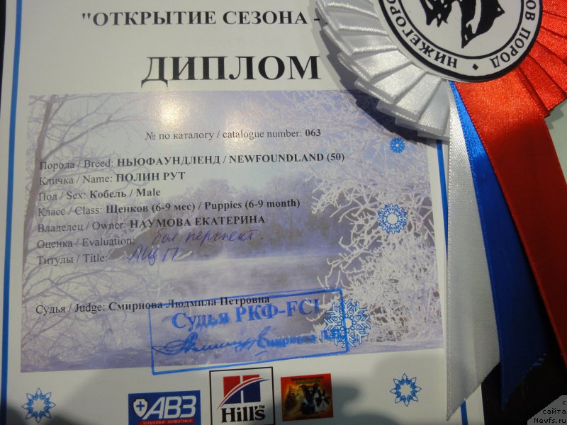 Фотография № 201621