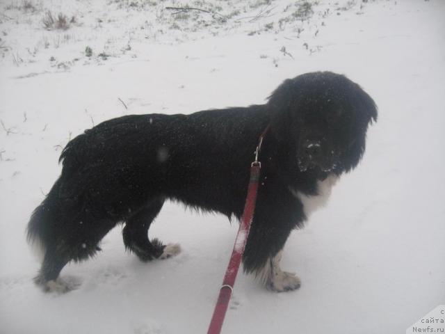 Фотография № 20164