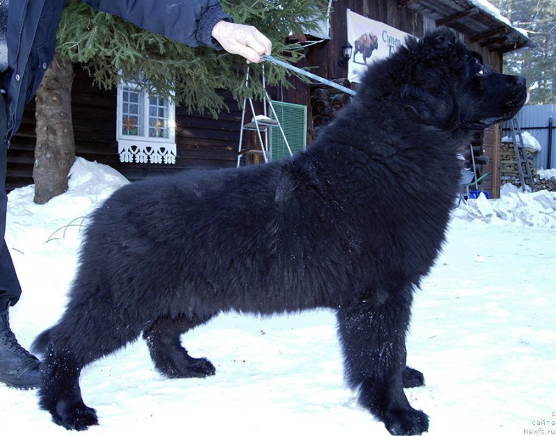 Фотография № 201647