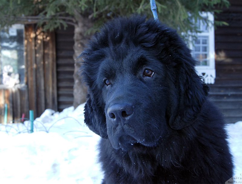 Фотография № 201649