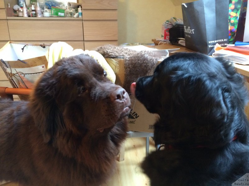 Фотография № 201652