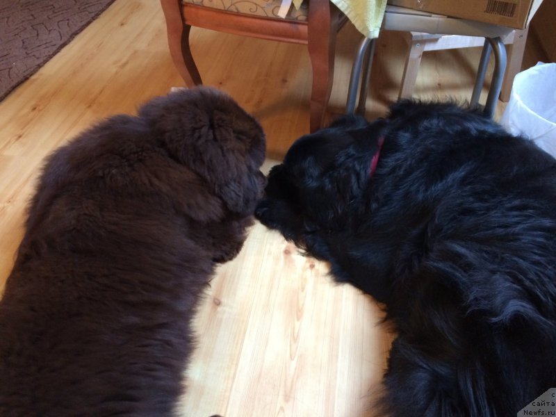 Фотография № 201654