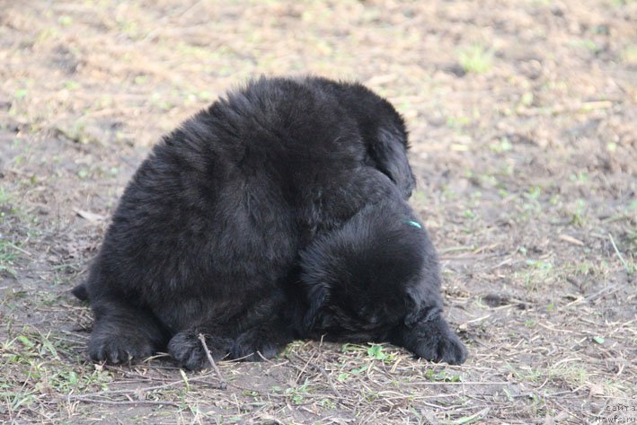 Фотография № 201716