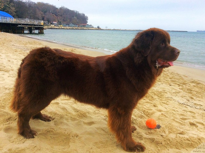 Фотография № 201723