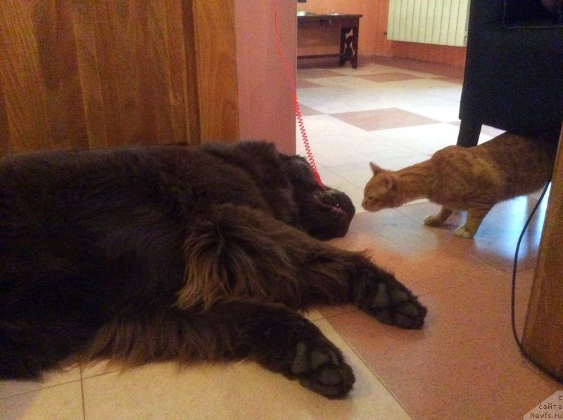 Фотография № 201726