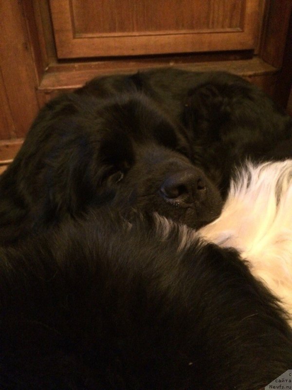 Фотография № 201743