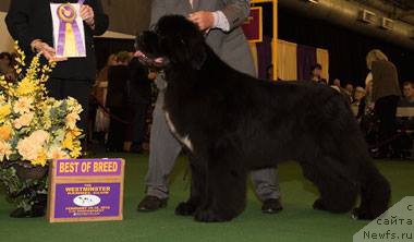 Фотография № 201771