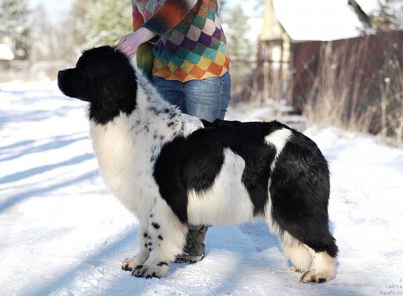 Фотография № 201776