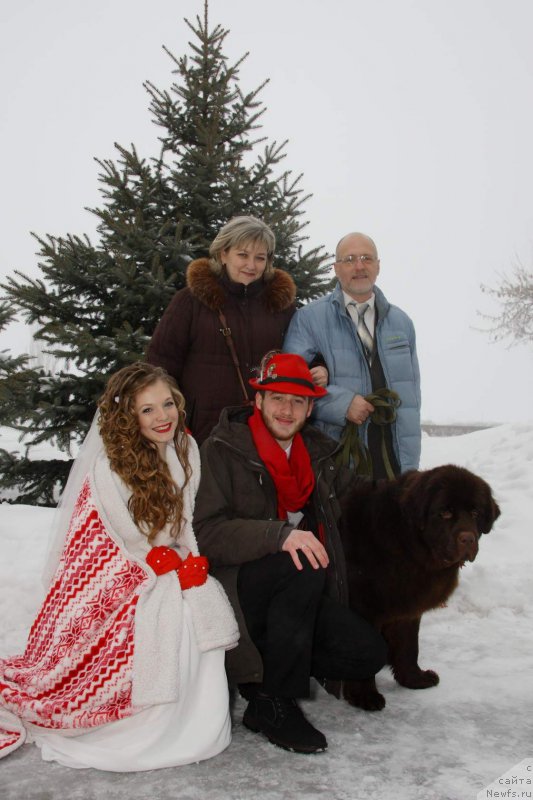 Фото: Елена Гавриленко, семья, и, ньюфаундленд Вересковый Мёд с Берега Дона (Vereskovyj Mjod s Berega Dona)