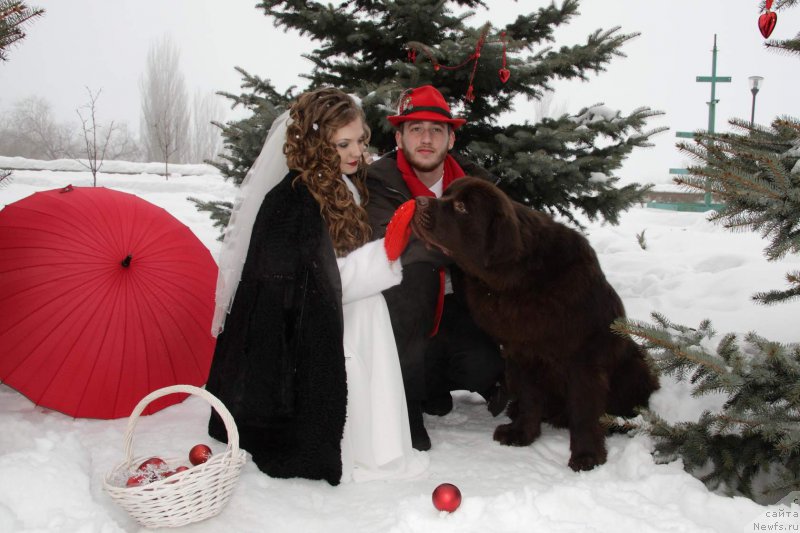 Фотография № 201815