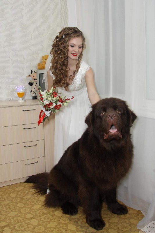 Фотография № 201817