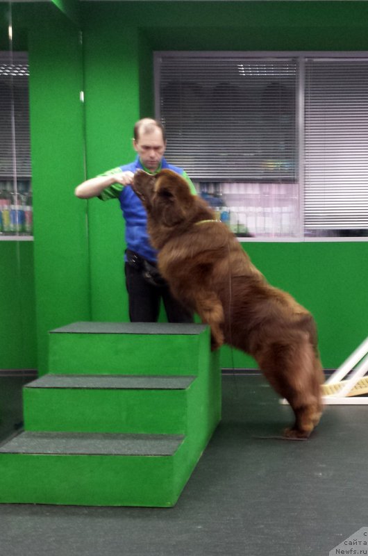 Фотография № 201832