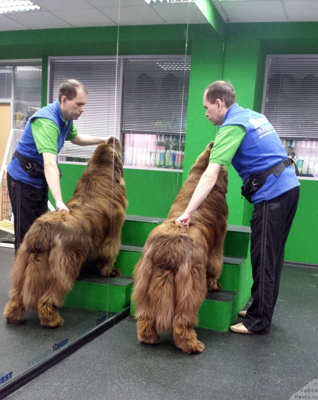 Фотография № 201834