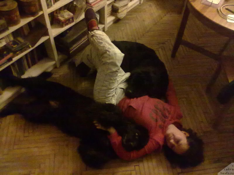 Фотография № 201837