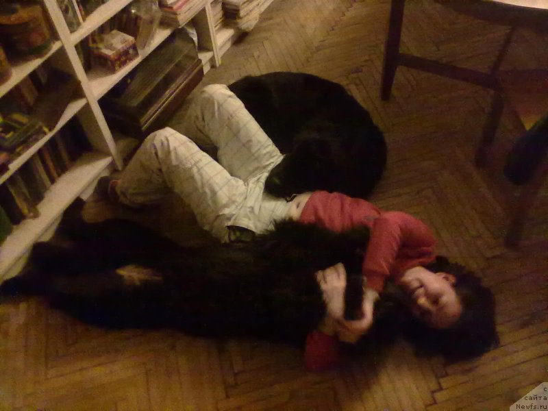 Фотография № 201838