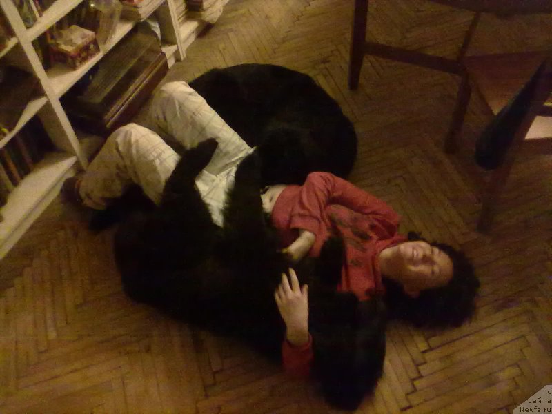 Фотография № 201839