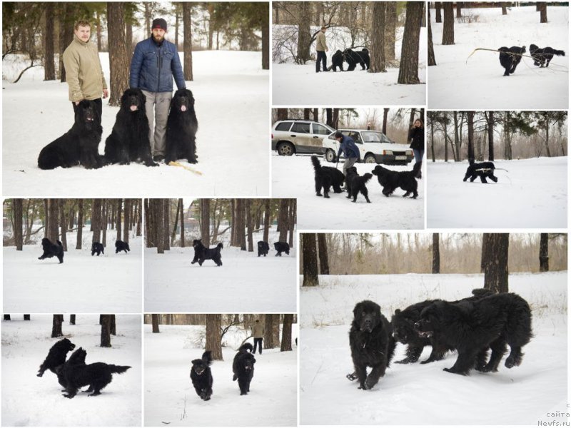 Фотография № 201841