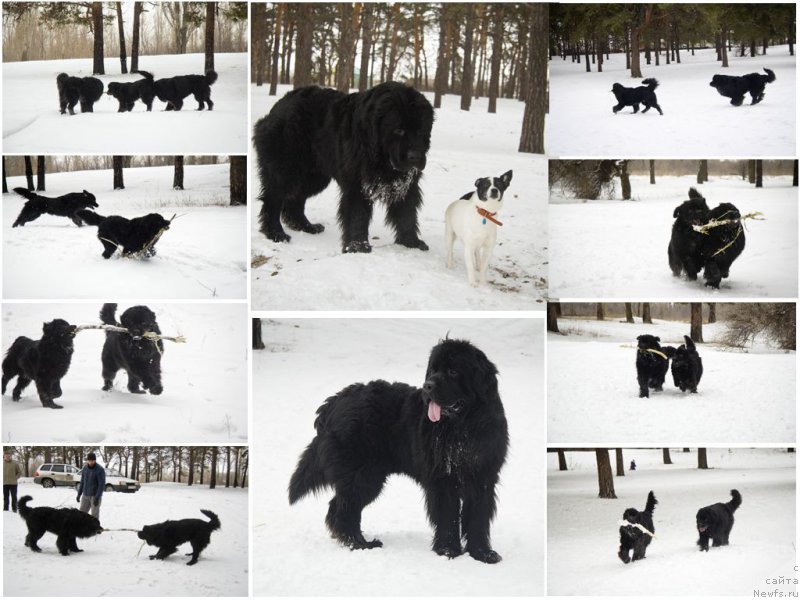 Фотография № 201842