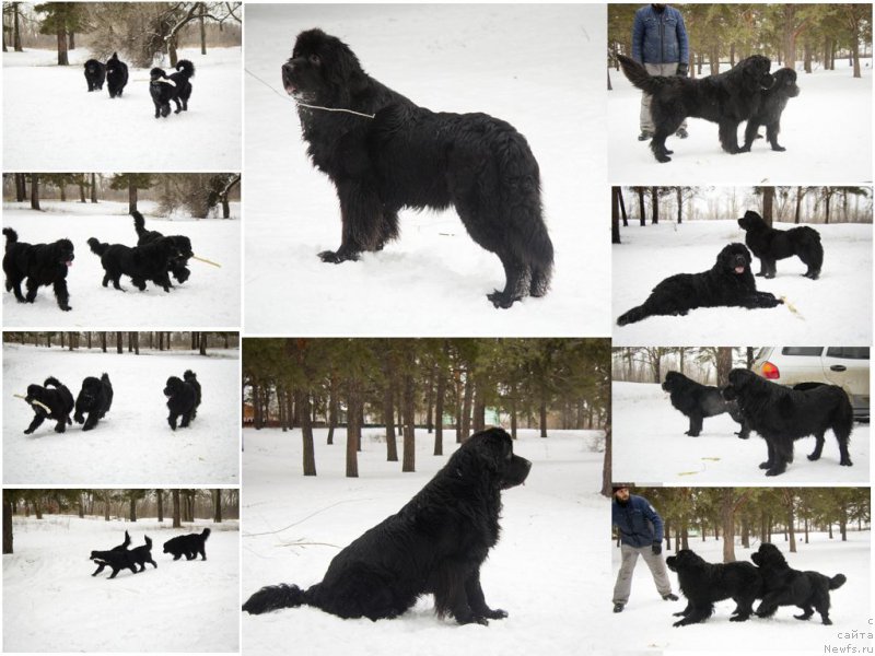 Фотография № 201843