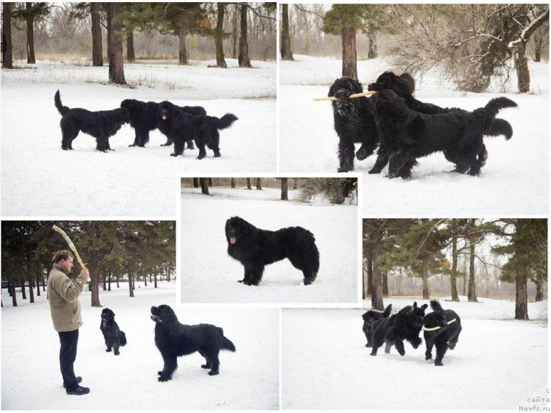 Фотография № 201844