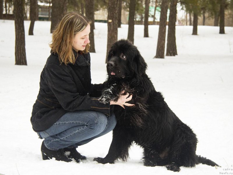 Фотография № 201845