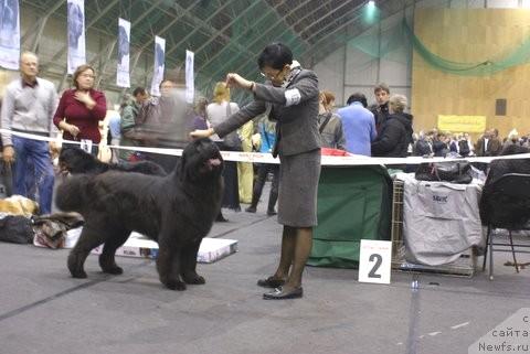 Фотография № 20185