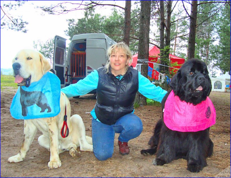 Фотография № 201863