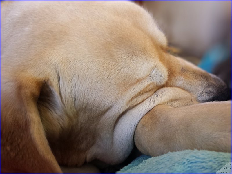 Фотография № 201869