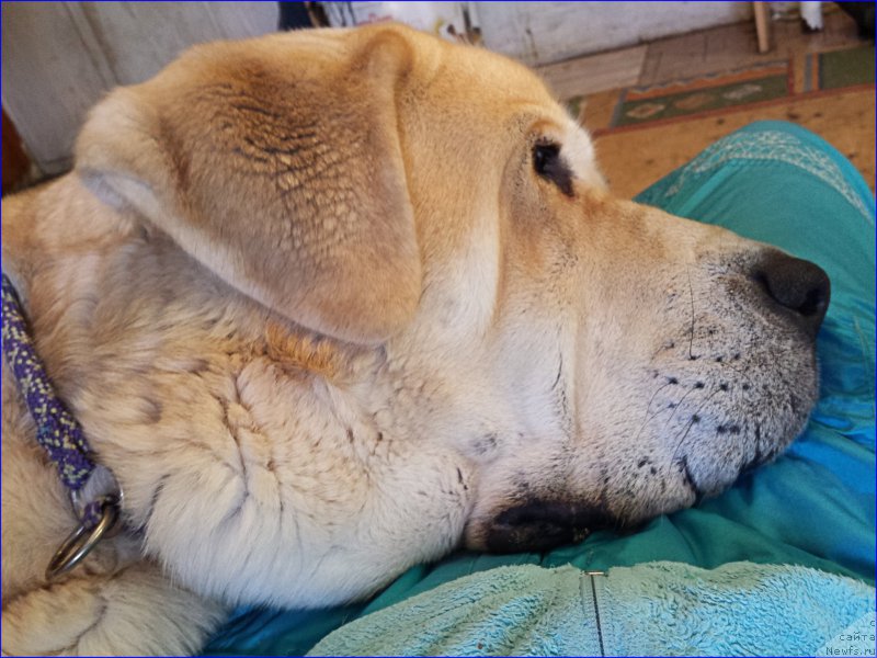 Фото: Лена Зырина