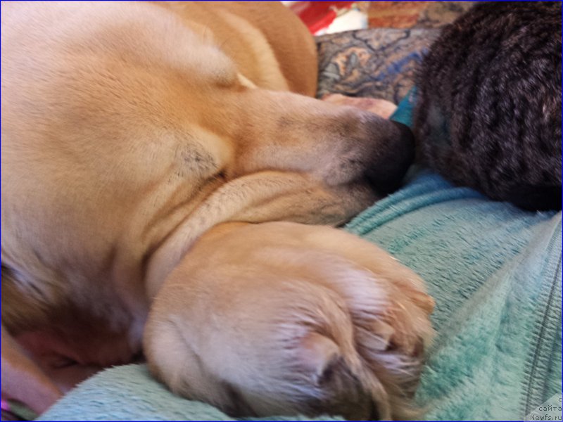 Фото: Лена Зырина