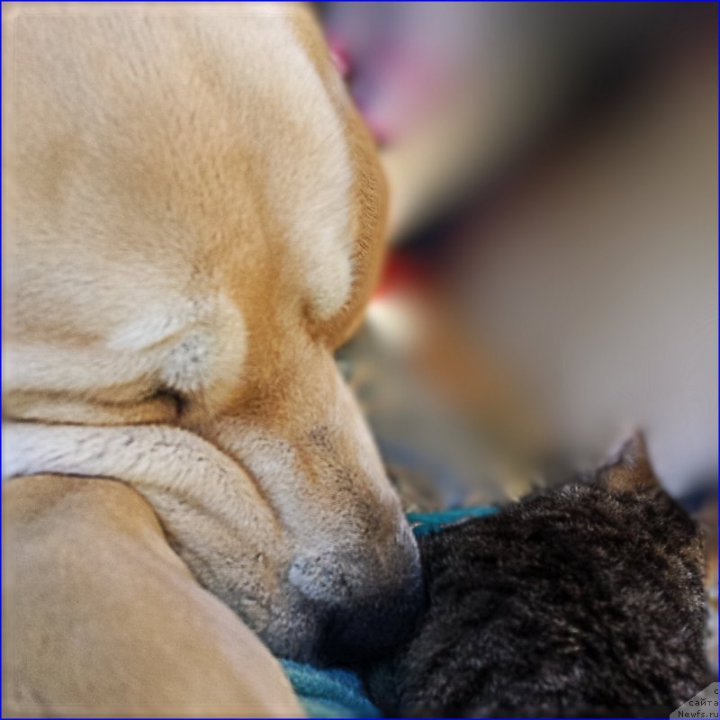 Фотография № 201873