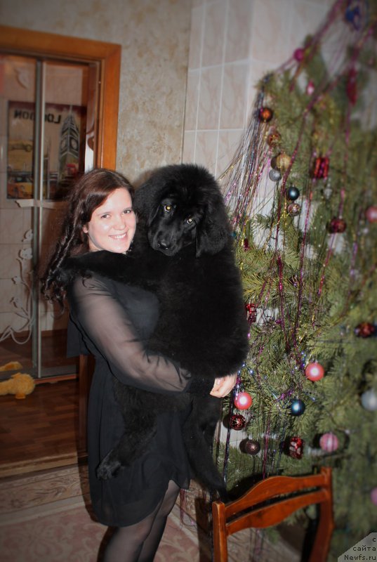 Фотография № 201902