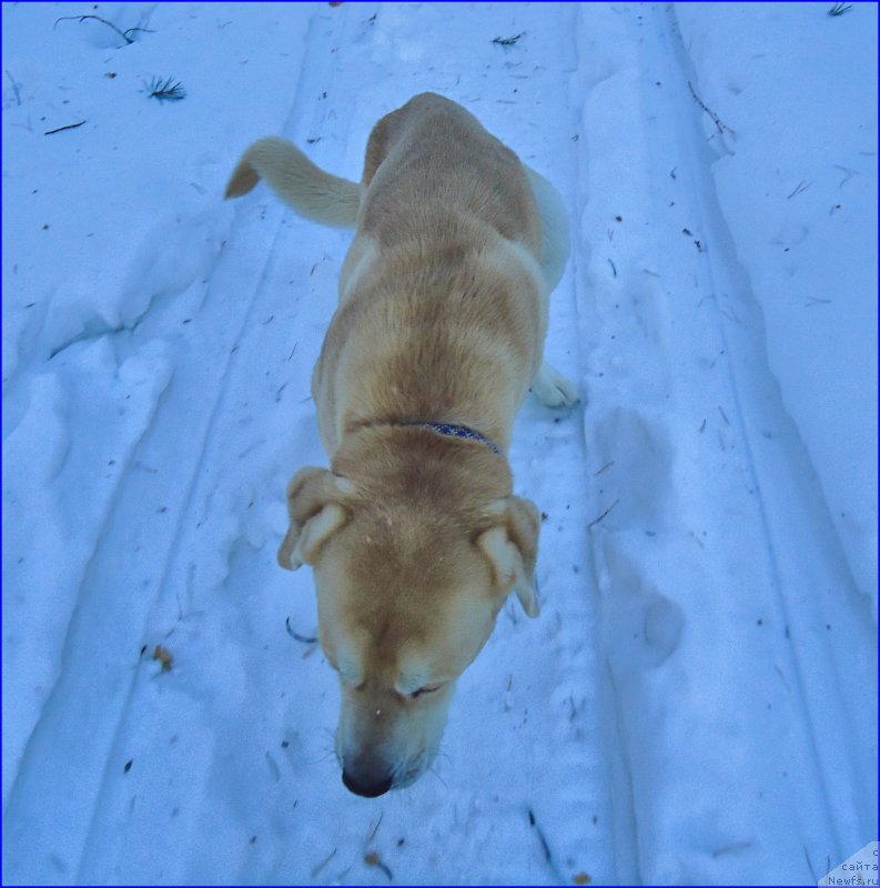 Фотография № 201909