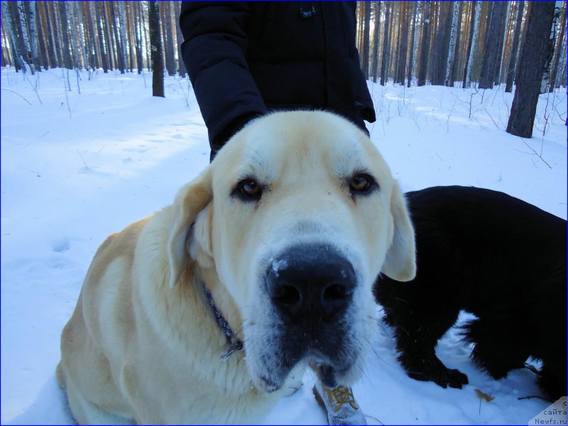 Фото: Лена Зырина