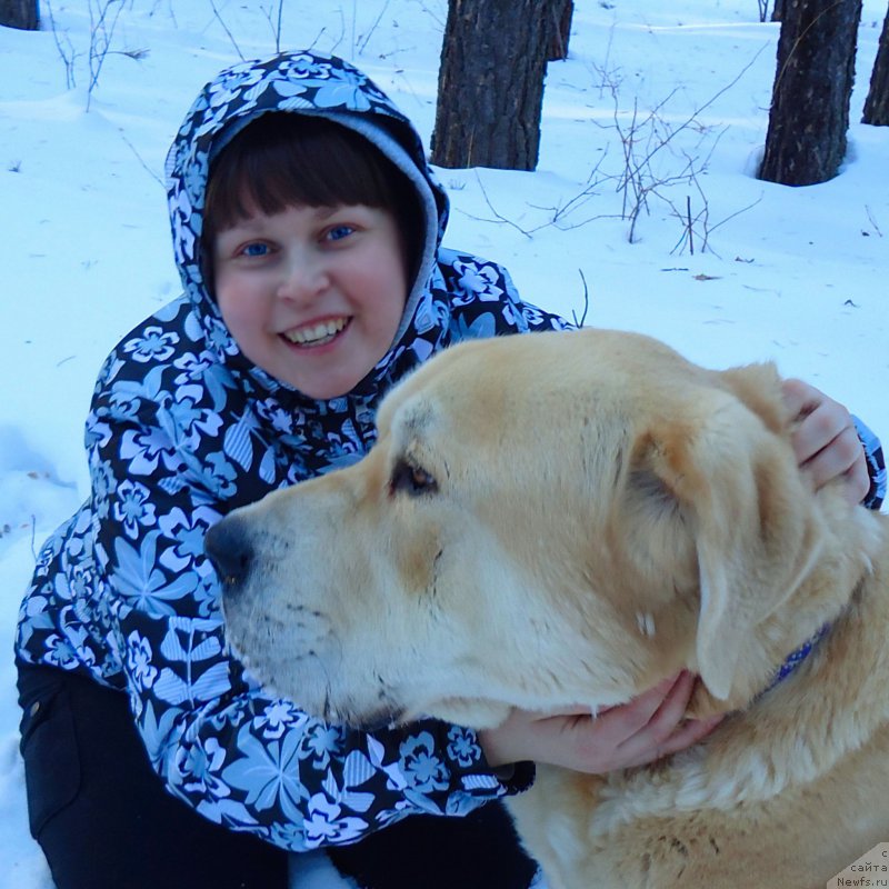 Фотография № 201913