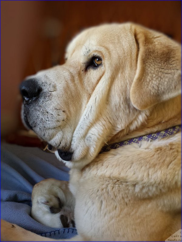 Фотография № 201915