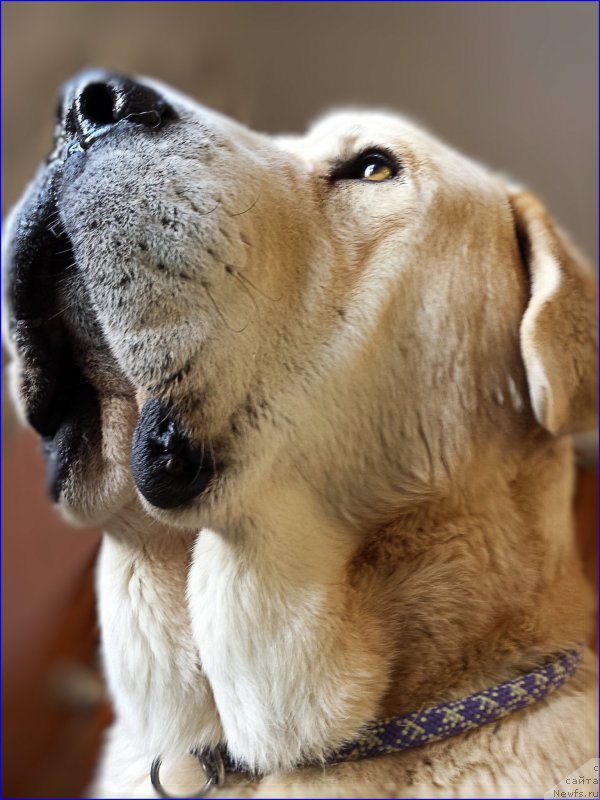 Фотография № 201917