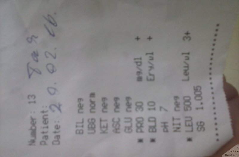 Фотография № 201919