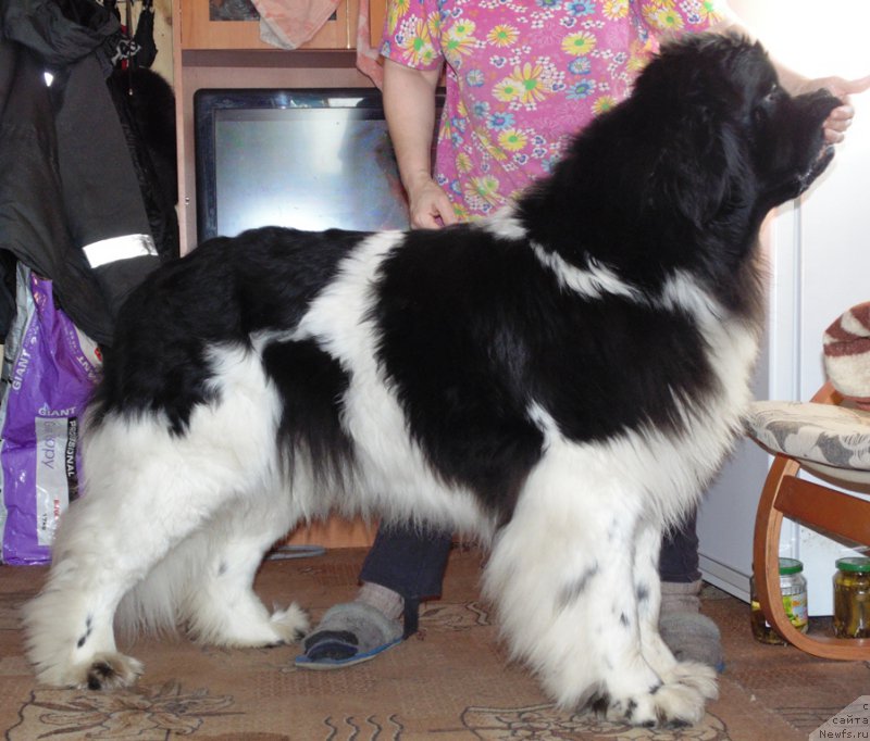 Фотография № 201938