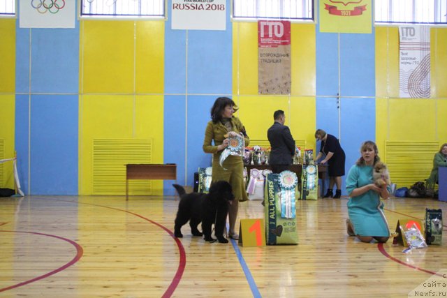 Фотография № 201953